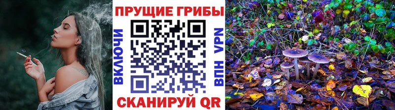 Галлюциногенные грибы ЛСД  Андреаполь 