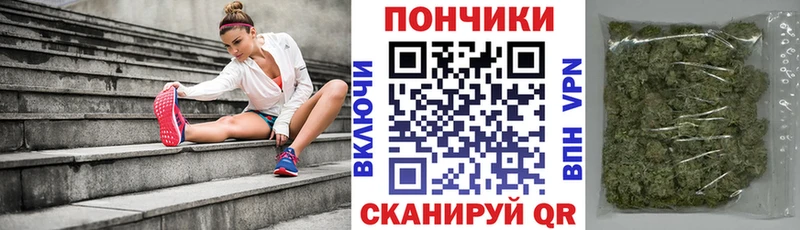 Шишки марихуана конопля нарко площадка официальный сайт Андреаполь купить наркотик